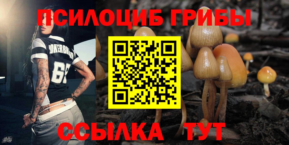 Галлюциногенные грибы Psilocybine cubensis Красноуфимск