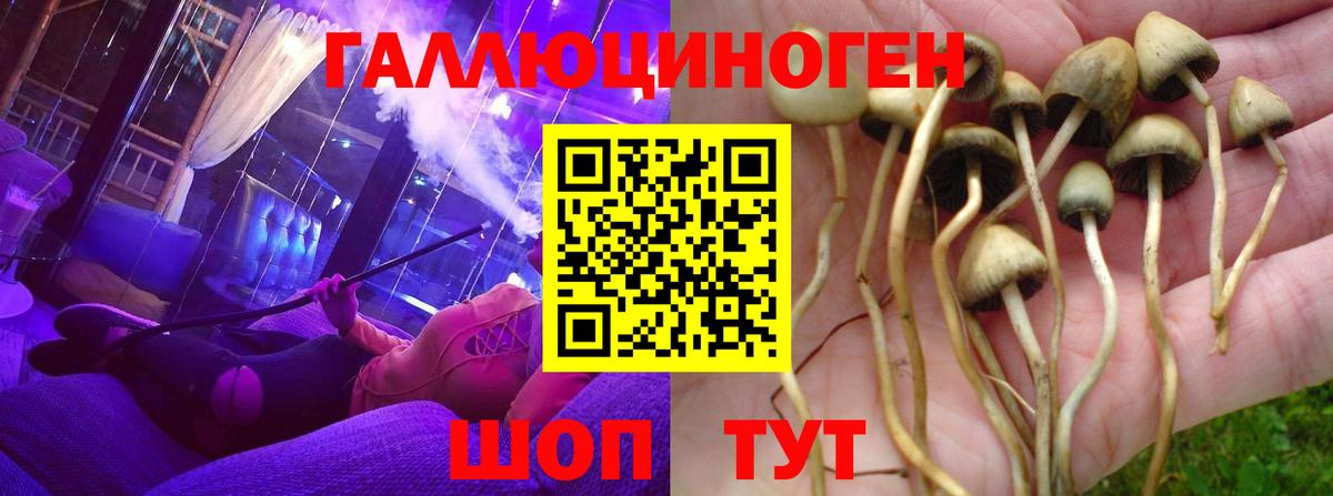 Красноуфимск  Псилоцибиновые грибы Cubensis  Вход с VPN 